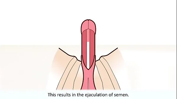 Ny The male orgasm explained energi videoer