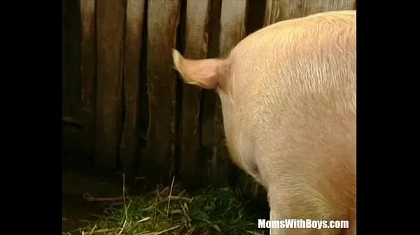 Nová Brunette Lady Farmer Hairy Pussy Barn Fucked energetika Videa