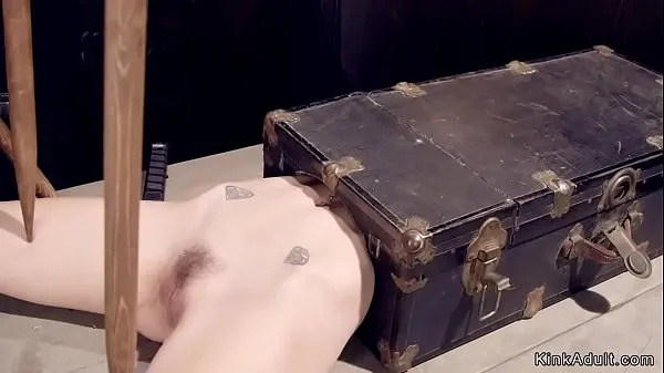 New Blonde slave laid in suitcase with upper body gets pussy vibrated energy Videos