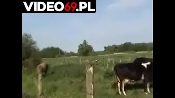 New Polish porn - Rural atmosphere energy Videos