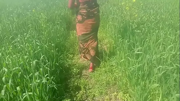 Nya Wheat Field Rubbing Ke Chod Dehati Video energivideor
