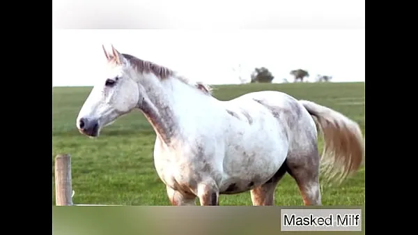Video tenaga Horny Milf takes giant horse cock dildo compilation | Masked Milf baharu